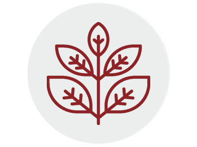Heilende Schamanen: Erwachsenen - und Kindertherapeutin, Psychotherapie, Seelenarbeit, Ernährungsberatung, Sterbebegleitung und Angstabbau, Krankheitsanalyse, Heilkunde, Naturkunde, Naturklinik für Mensch und Tier, Pferdetherapeut, Hundetherapeut, Tierkommunikation, Herzheilung, Physiotherapie, Akupunktur, Osteopathie, Allergien und Unverträglichkeiten bei Hunden und Katzen, Gewaltfreie Kommunikation, Stärkung, Bewusstseinsförderung, Chakrenöffnung, Chakrentherapie, Cranio Sakrale Therapie, Verhaltenstherapie, Seelenheilung, Traumaauflösung, Kondtionierungen und Gewohnheiten, Herzheilung, Krankheitenanalyse, Glücklichsein, Schamanische Heilmethoden, Heilpraxis