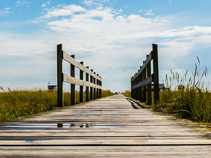 Panorama wooden pier North Sea